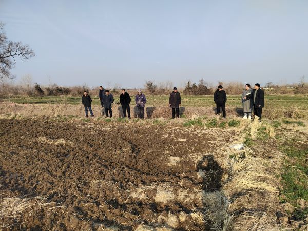 齊廟村田間開展土地延保工作，政策宣傳與問題調(diào)解并進(jìn)