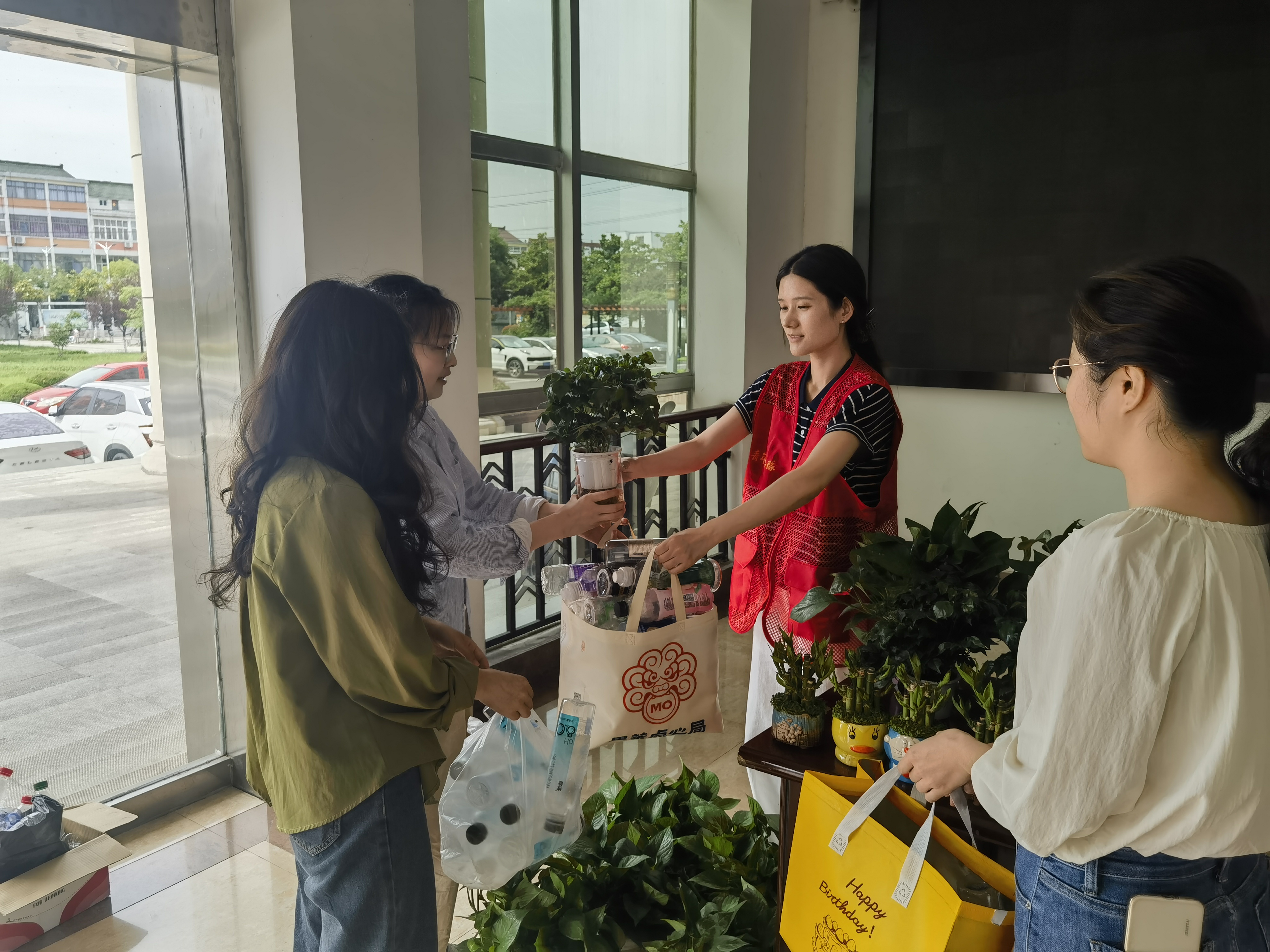秦欄鎮團委開展“廢品換綠植 裝扮辦公室”活動