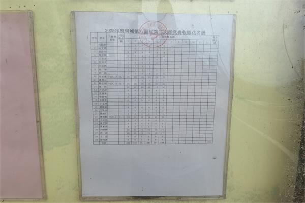 銅城鎮(zhèn)八面村1-6月黨費(fèi)收繳情況公示