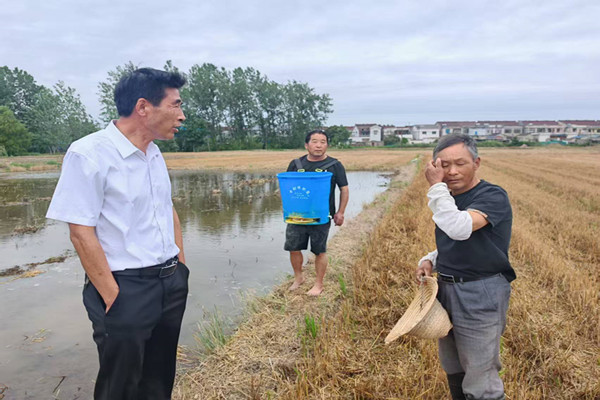 陳莊村成功調解午季水稻灌溉矛盾糾紛