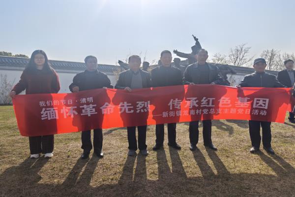 龍南村開展“緬懷革命先烈，傳承紅色基因”清明節活動