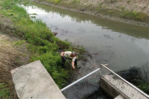 龍南村積極開展抗旱行動 全力保障農業生產