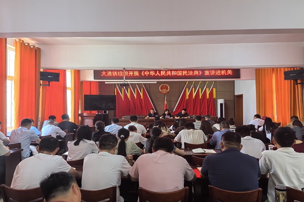 大通鎮(zhèn)：多措并舉開展《中華人民共和國民法典》宣傳系列活動(dòng)