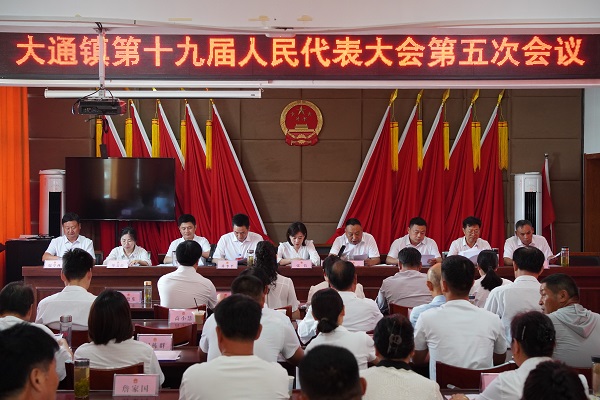 大通鎮第十九屆人代會第五次會議勝利召開