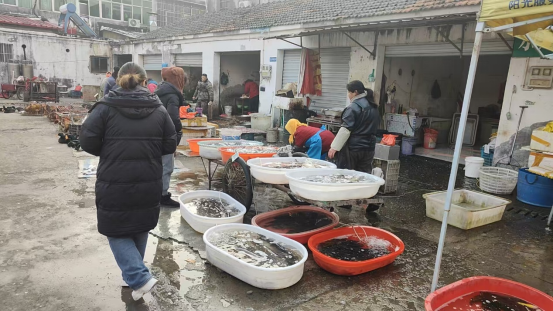 楊村社區開展農貿市場食品安全專項檢查