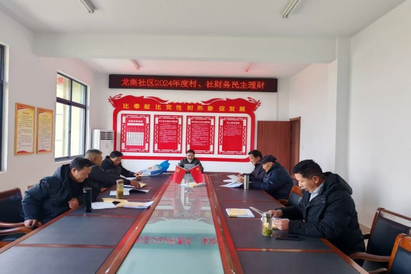 龍集社區開展2024年度民主理財
