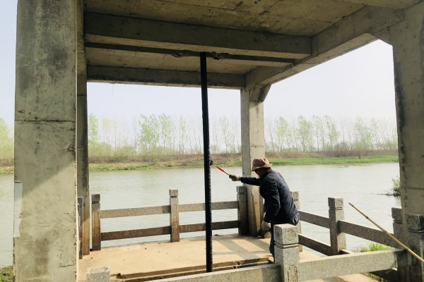 楊村鎮金埠村：筑牢水利防線 守護民生安瀾