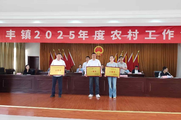 永豐鎮民生社區：農村工作會議再傳捷報，續寫鄉村振興新篇章
