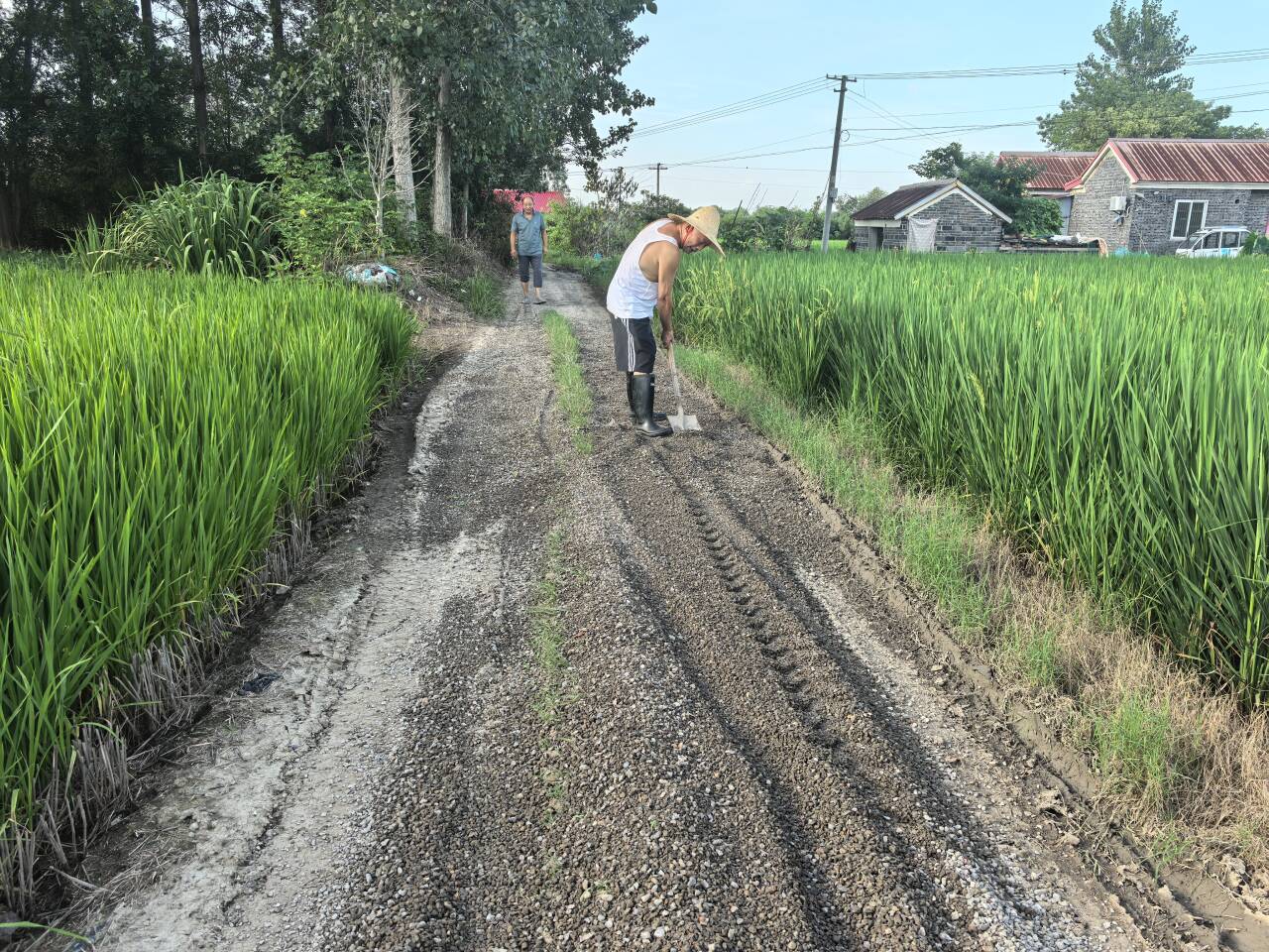 二墩村組織村民修村路保秋收