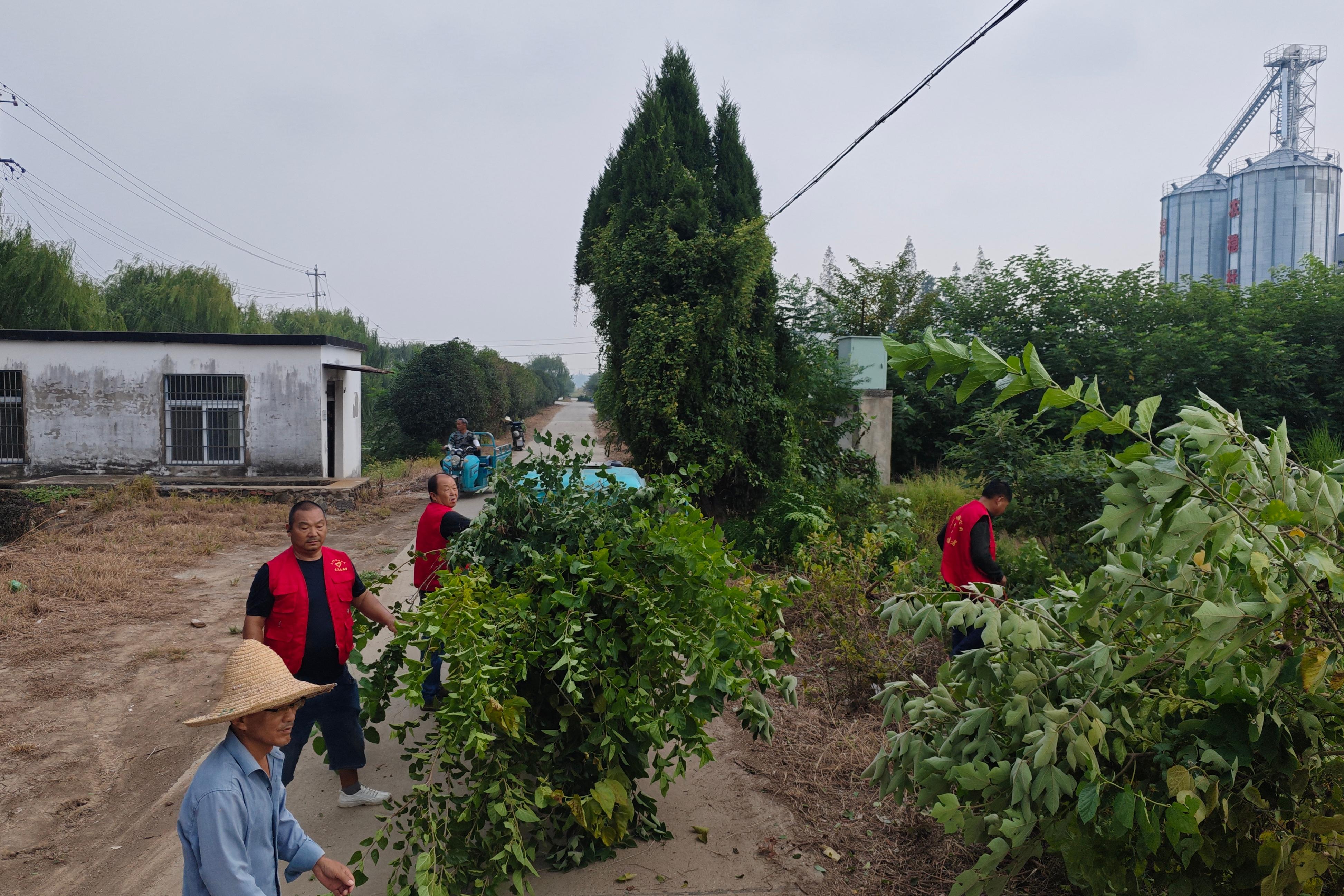 花好月圓迎佳節，環境美化暖人心