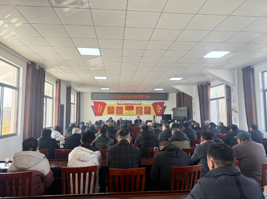 晏公村黨總支召開(kāi)2024年度組織生活會(huì)