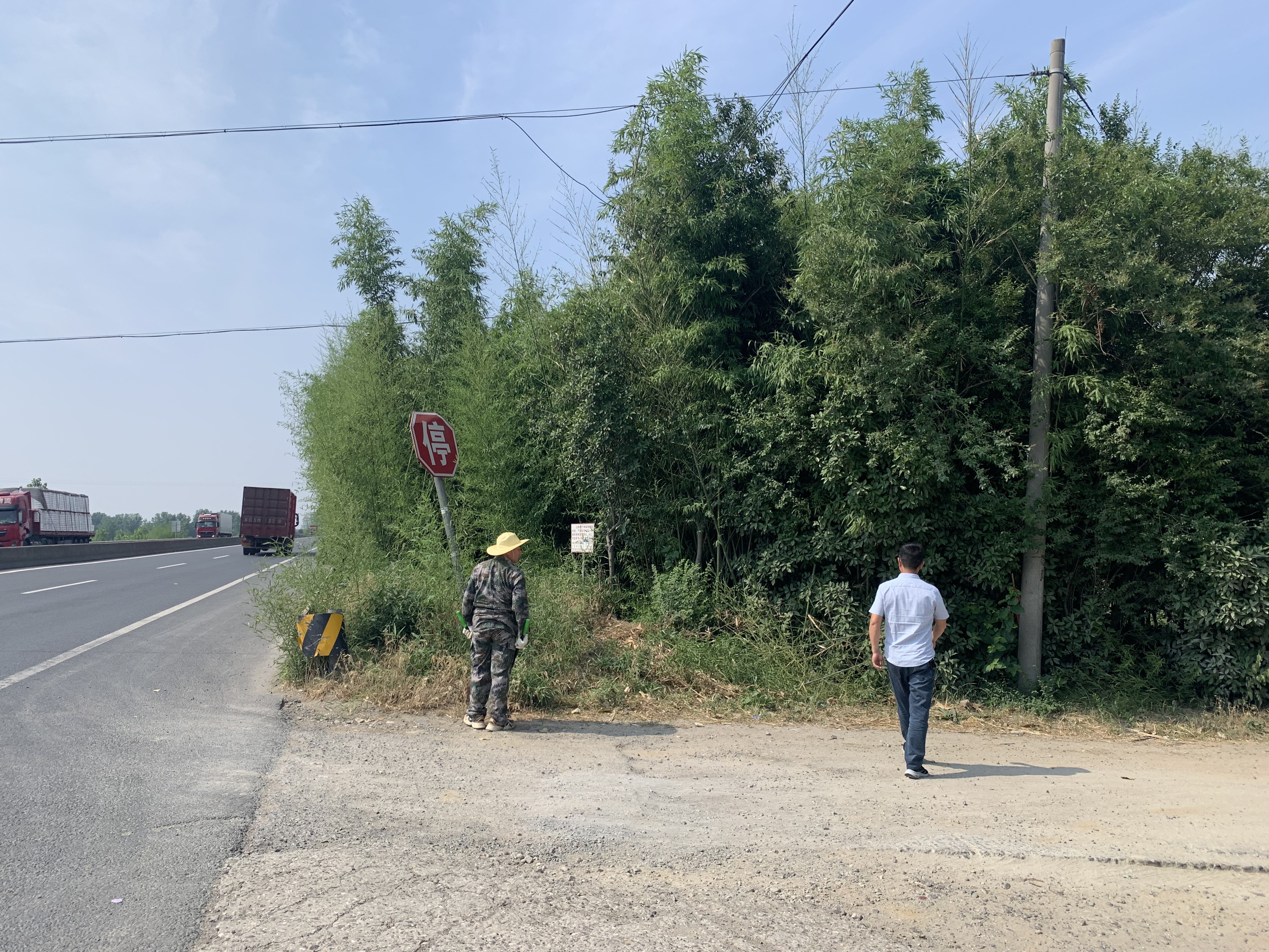 尚武村開展主干道路口清雜活動(dòng)