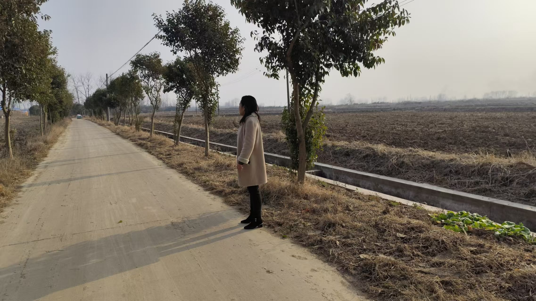 虎山村開展路長巡路